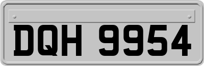 DQH9954
