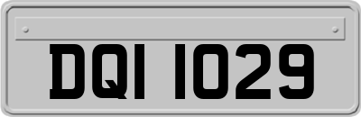 DQI1029