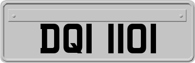 DQI1101