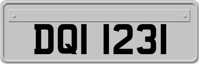 DQI1231