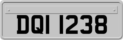 DQI1238