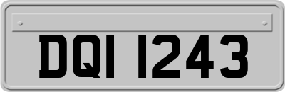DQI1243