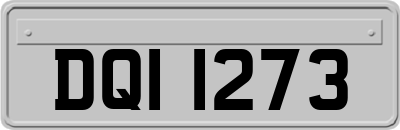 DQI1273
