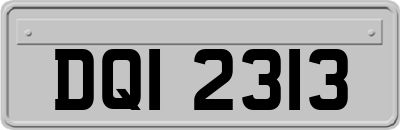 DQI2313