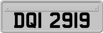 DQI2919
