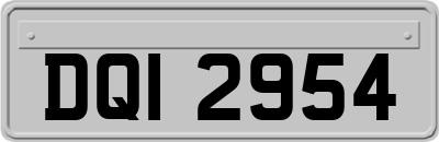 DQI2954