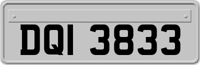 DQI3833