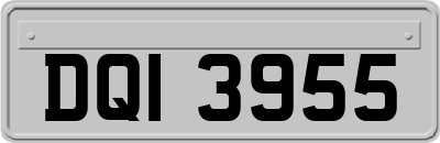 DQI3955
