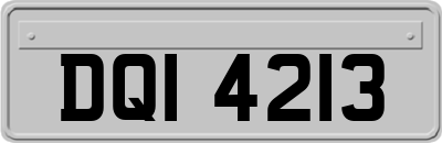 DQI4213