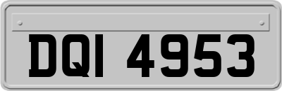 DQI4953