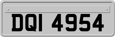 DQI4954