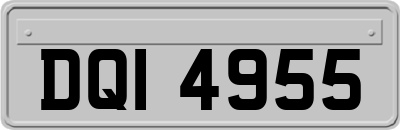 DQI4955