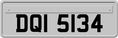 DQI5134