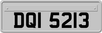DQI5213