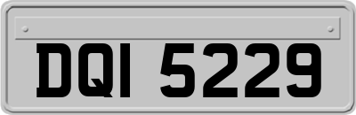 DQI5229