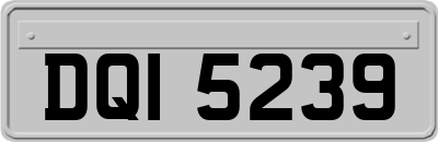 DQI5239