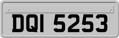 DQI5253