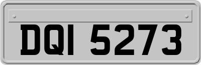 DQI5273