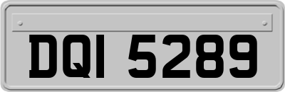 DQI5289