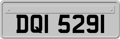 DQI5291