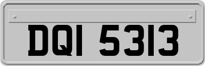 DQI5313