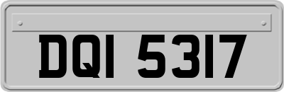 DQI5317
