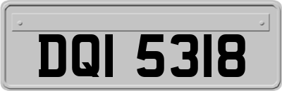 DQI5318