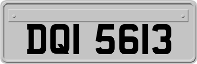 DQI5613