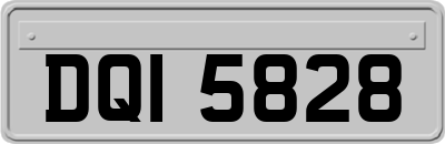 DQI5828
