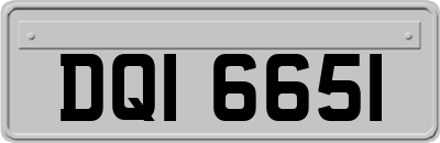 DQI6651