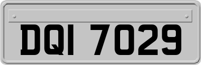 DQI7029