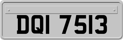 DQI7513