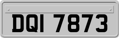 DQI7873