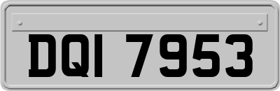 DQI7953