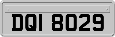 DQI8029