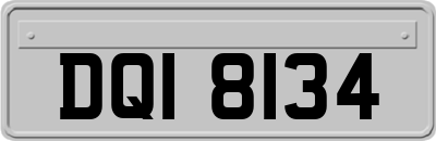 DQI8134