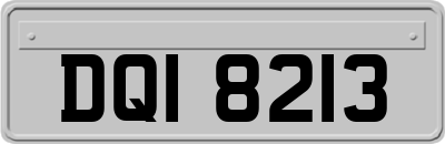 DQI8213