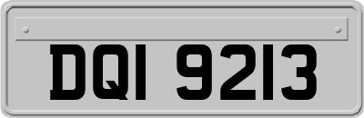 DQI9213