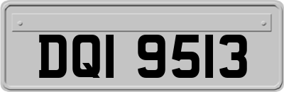 DQI9513
