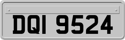 DQI9524