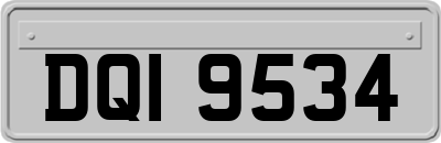 DQI9534
