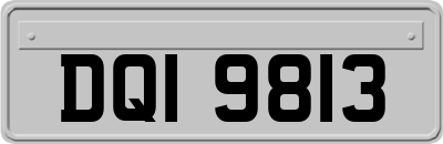 DQI9813