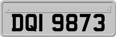 DQI9873