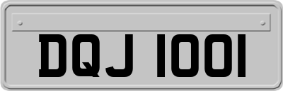 DQJ1001