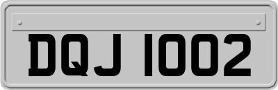 DQJ1002