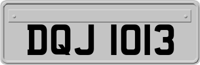 DQJ1013