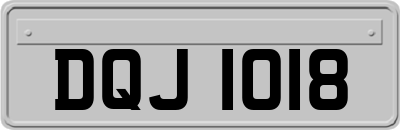 DQJ1018