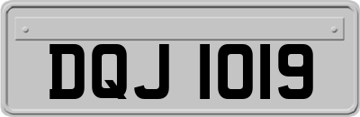 DQJ1019