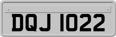 DQJ1022