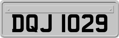 DQJ1029